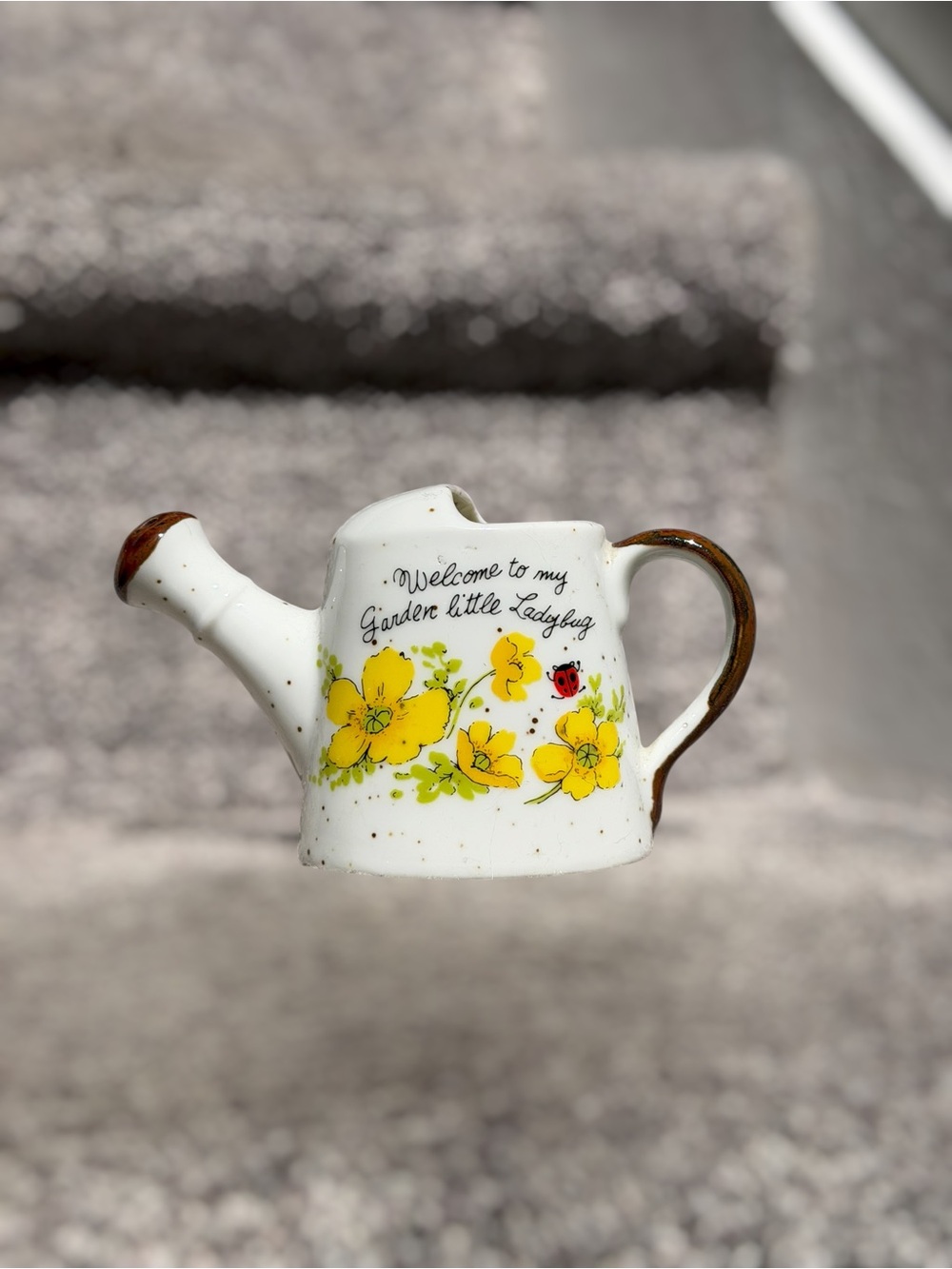 Vintage Lorrie Design Ladybug Garden Ceramic Watering Can Cottagecore Decor